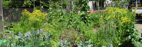 Garten mit Bauernhaus im Hintergrund